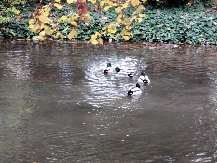 2007-11 Paris 021.jpg